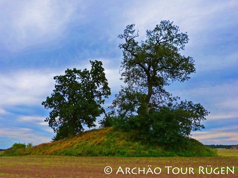 View of the mound grave "Heaven" overgrown with gnarled oaks, © Archäo Tour Rügen