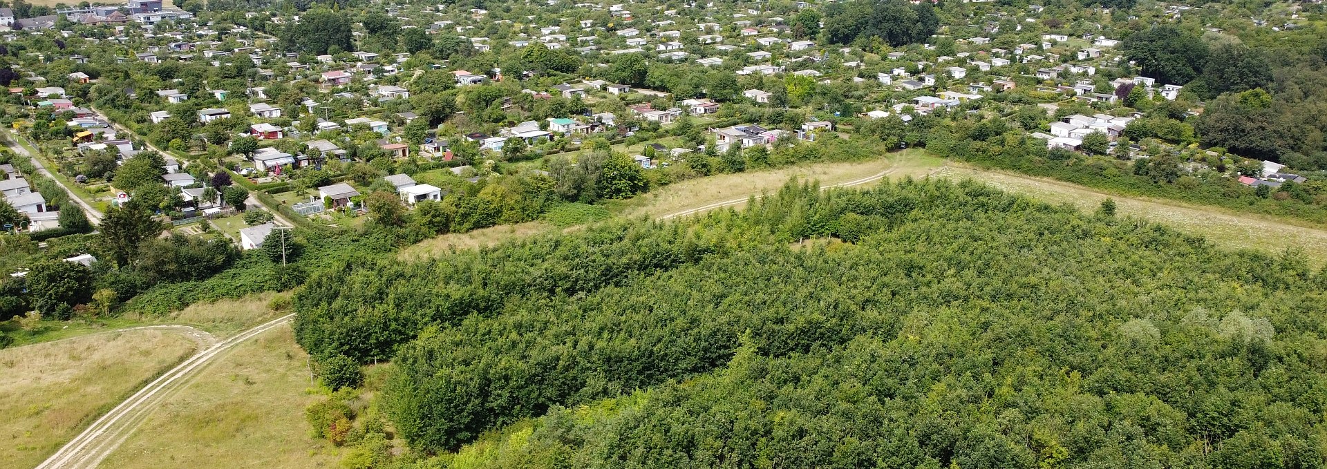 Neubrandenburg-Nettelkuhl climate forest, © Landesforst MV