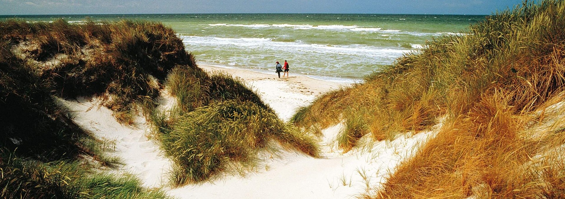 Nature impressions from the Fischland-Darß-Zingst Peninsula, © TMV/Grundner