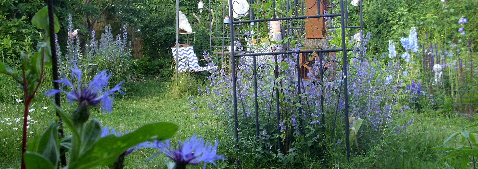 The garden in June 2019, © Anette Schröder