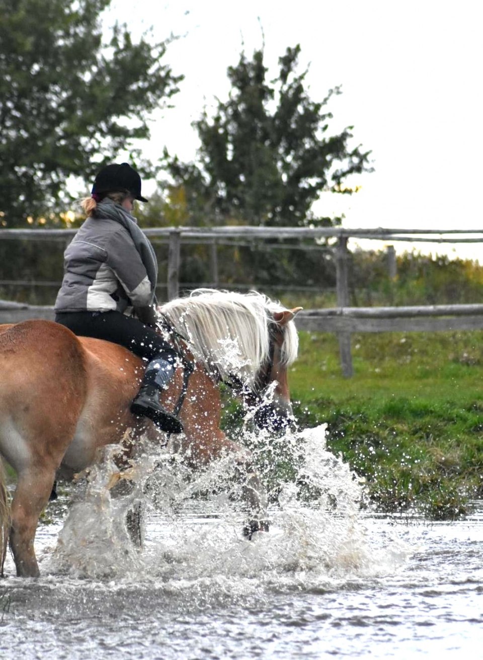 A rider leads her horse through splashing water while enjoying an adventurous ride. The powerful horse plows energetically through the shallow water while the rider takes in the fresh air and nature around her.