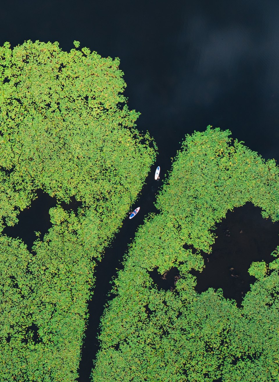 Narrow canals connect the various lakes of the Mecklenburg Lake District to form a gigantic network of waterways!, © TMV/Gross