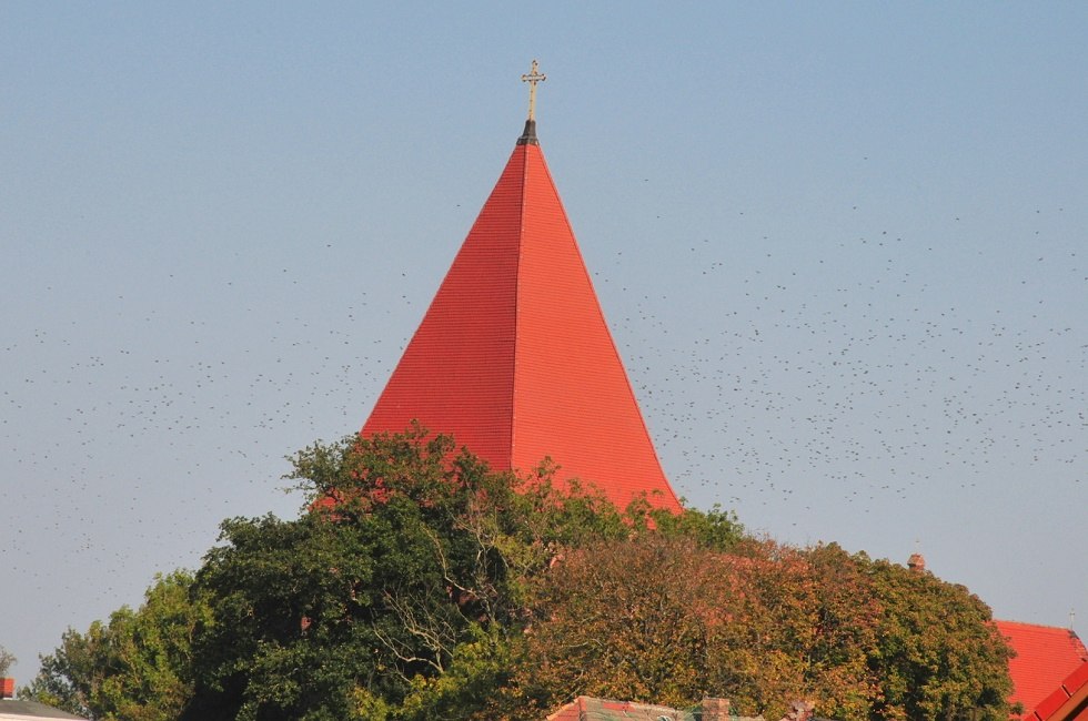 Evangelical church St. Michael in Sagard, © Tourismuszentrale Rügen