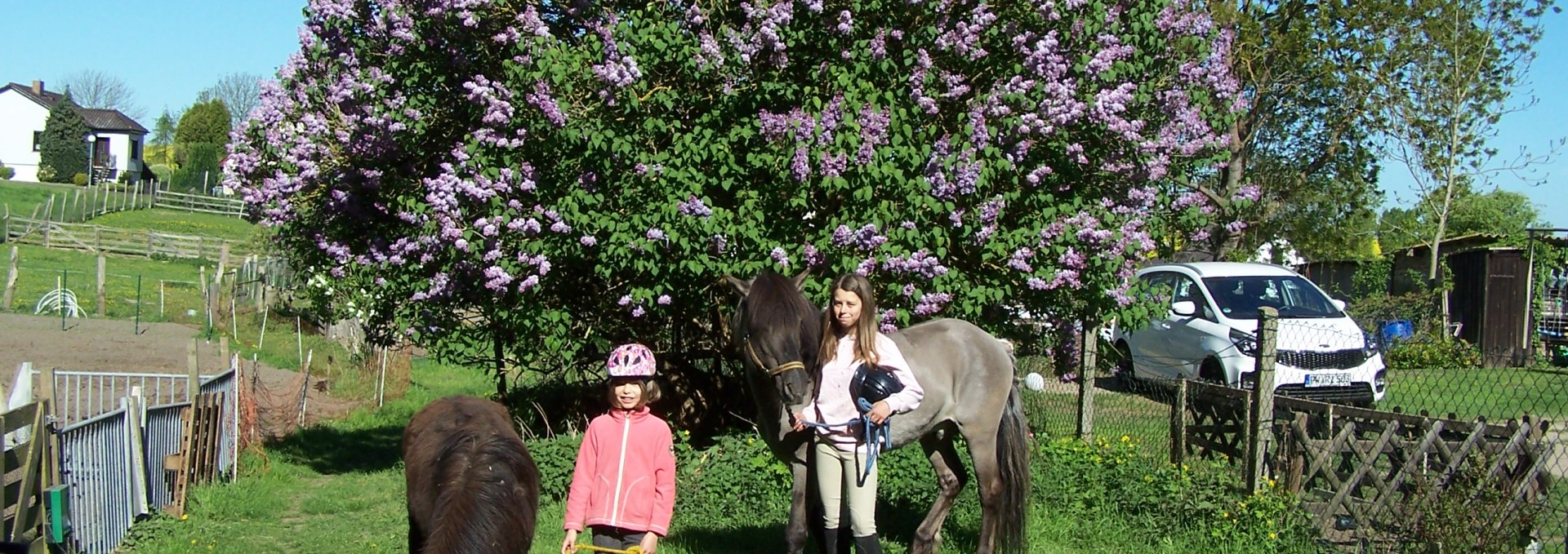 Child friendly riding vacations on the farm, © Thomas Wieners