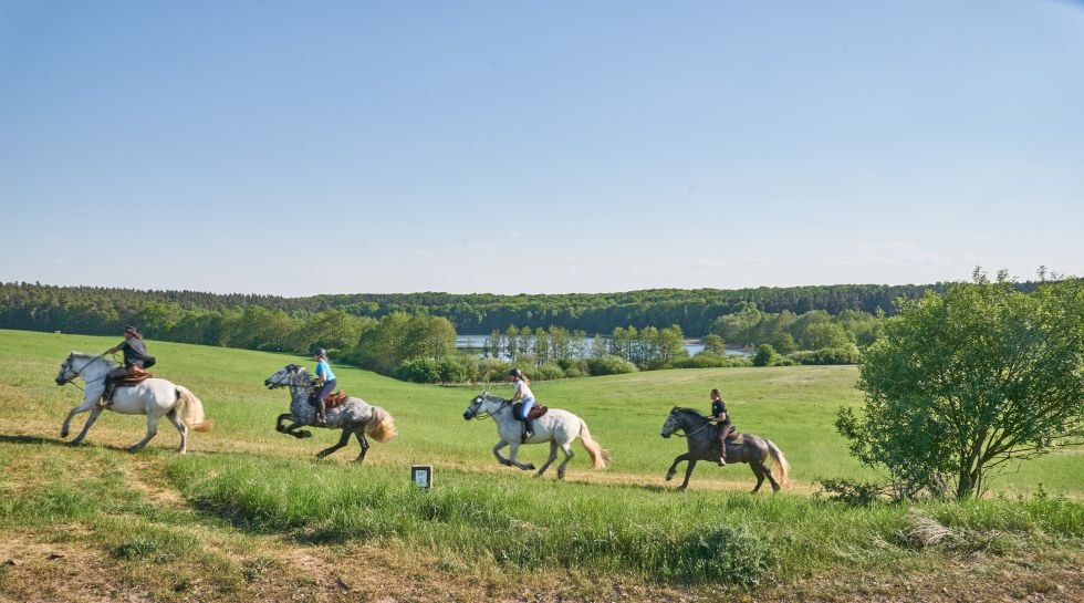 Impressions of the ride with Herian Stud Farm, © Michael Schauenberg