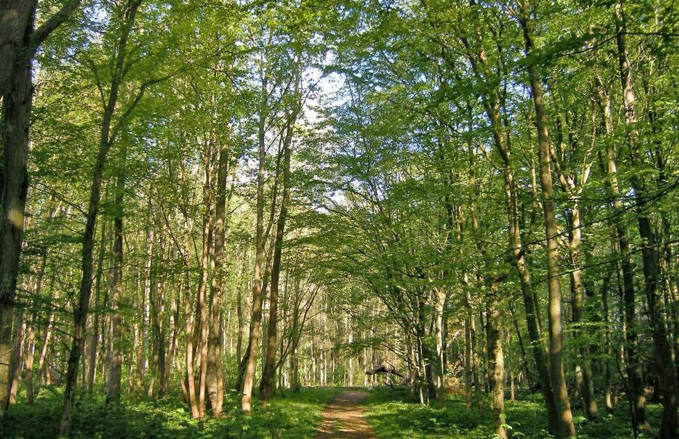 goor-and-freetzer-lowlands, © Biosphärenreservatsamt Südost-Rügen