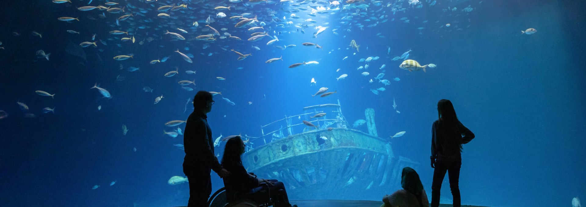 The aquarium tours in the OZEANEUM can be experienced barrier-free, © Anke Neumeister/Deutsches Meeresmuseum