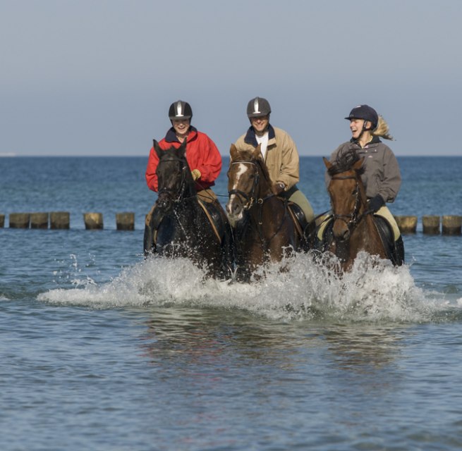 Beach riding in Mecklenburg-Vorpommern at Stolper Ort in Rostock Heath, © TMV/ Hafemann