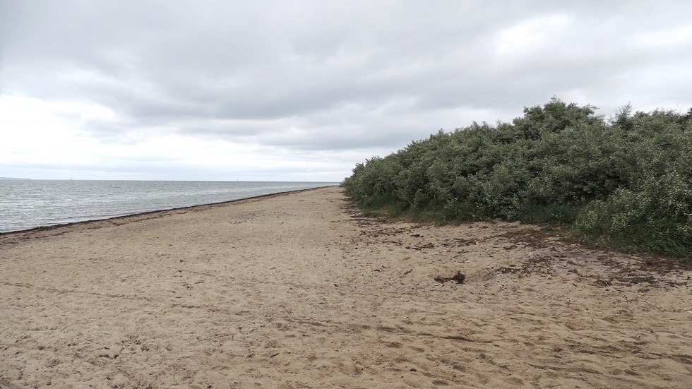 View beach, © Kurverwaltung Insel Poel