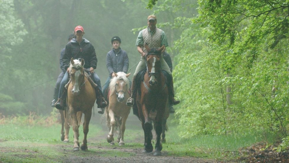 Whether walking, trotting or galloping - everything is possible on 60 km of riding and driving trails in the Rostock Heath., © Reitstall Stuthof