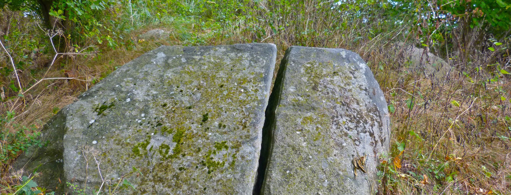 The "Blocksberg" megalithic tomb near Posewald, © Archäo Tour Rügen