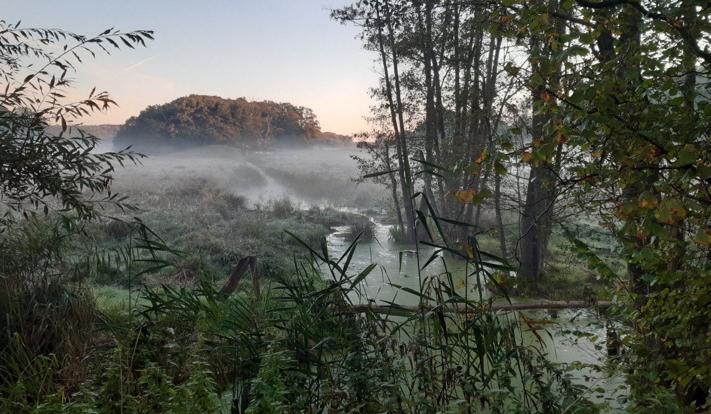 Schaalsee-Region-Tourbild-002, © Andreas Ermisch