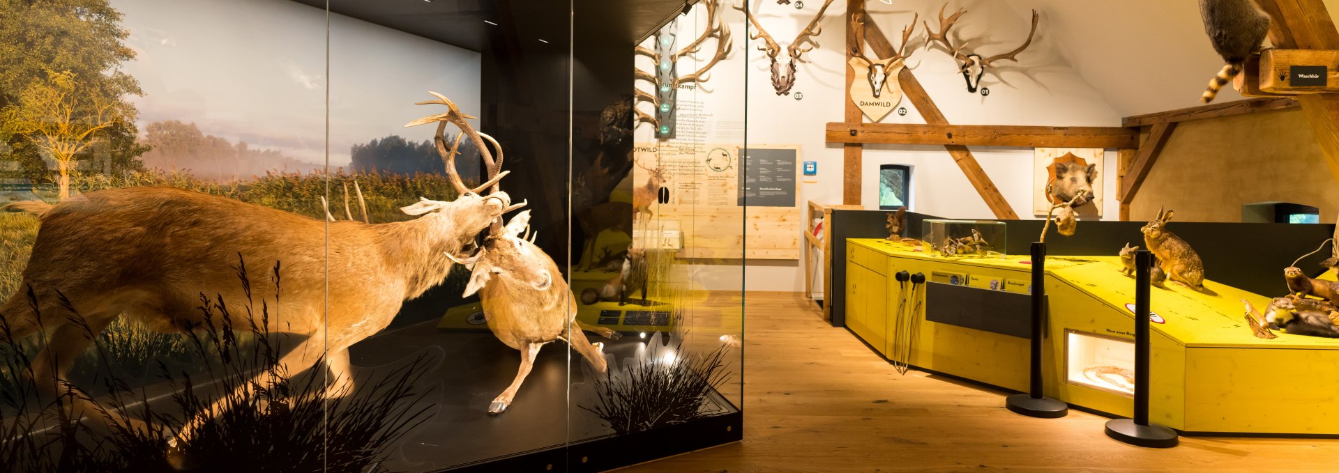 Forst- und Jagdmuseum (3)-min, © Moritz Kertzscher