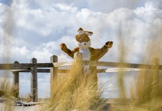 © André Pristaff / Tourismus- und Kur GmbH Graal-Müritz