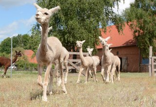 © Tourismusverband Mecklenburg-Schwerin