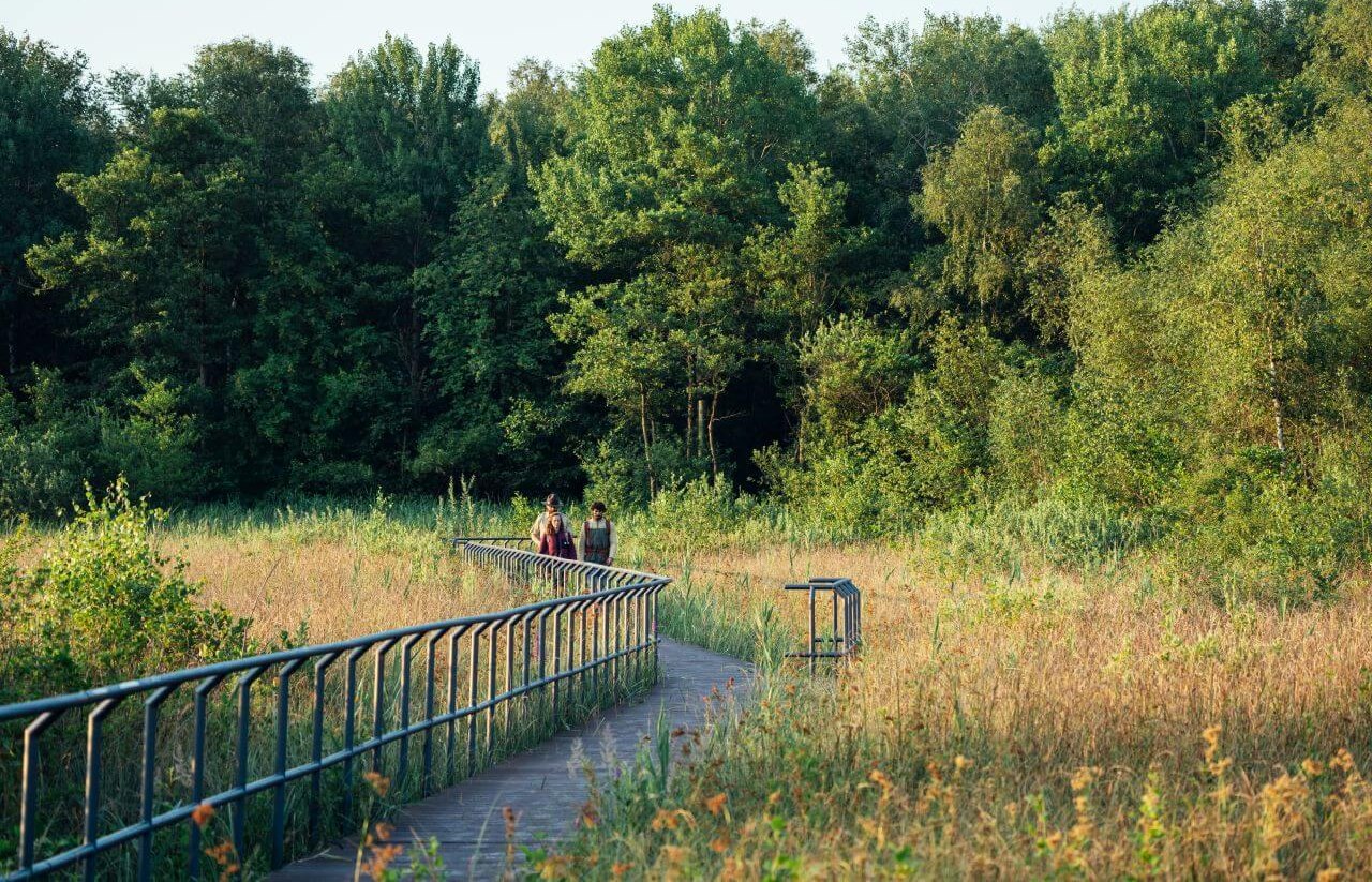 On more than 800 km through seven nature parks and one national park, the nature park trail leads through Mecklenburg-Vorpommern., © TMV/Gänsicke