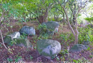 View of the megalithic tomb "Teufelsstein" near Seelvitz, © Archäo Tour Rügen