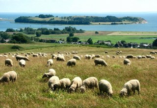 View from Bakenberg to the island of Vilm, © Tourismuszentrale Rügen