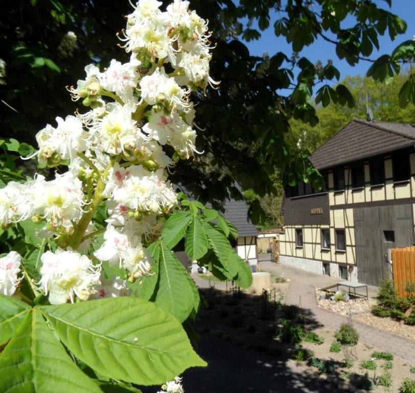 Dat Waldhus in spring, © Steffen Tepasse