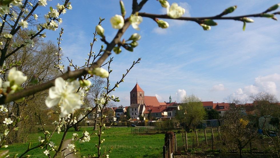 View of the town church of St. Peter and Paul, © Jana Koch