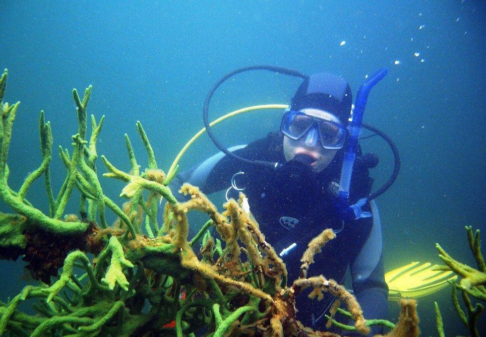 Narrow lucine with freshwater corals, © Tauchcenter Feldberg