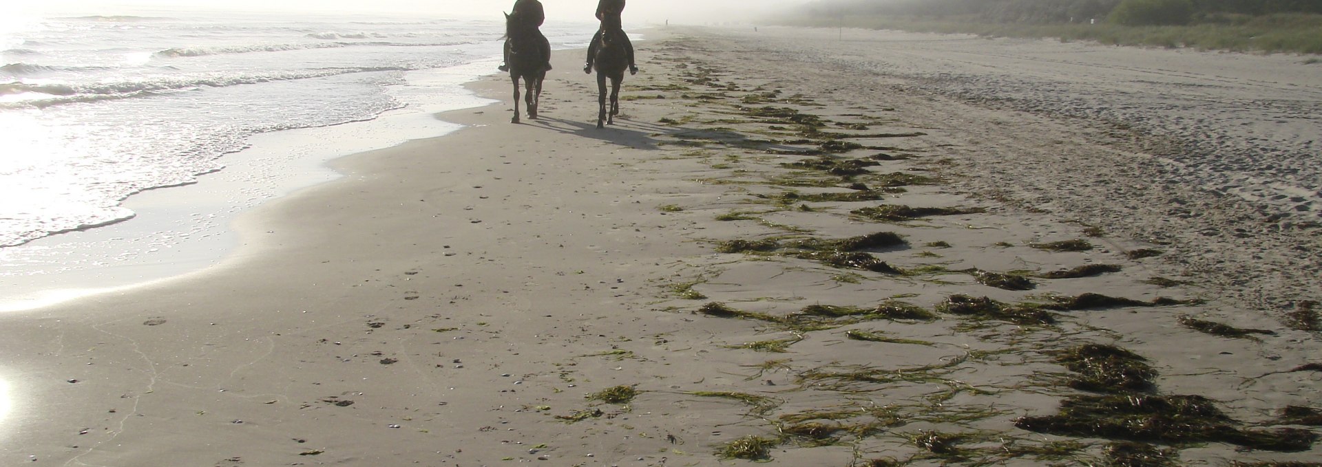 Horse riding on the beach in Trassenheide, © Hotel Friesenhof