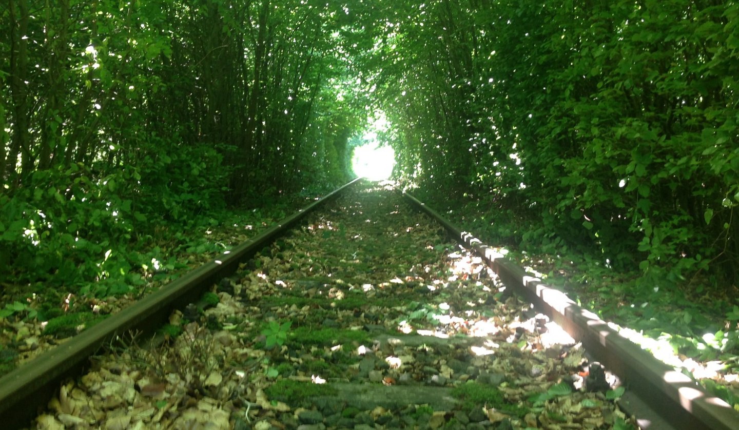 Entry into the approx. 1km long book tunnel, © Naturpark Draisine Dargun