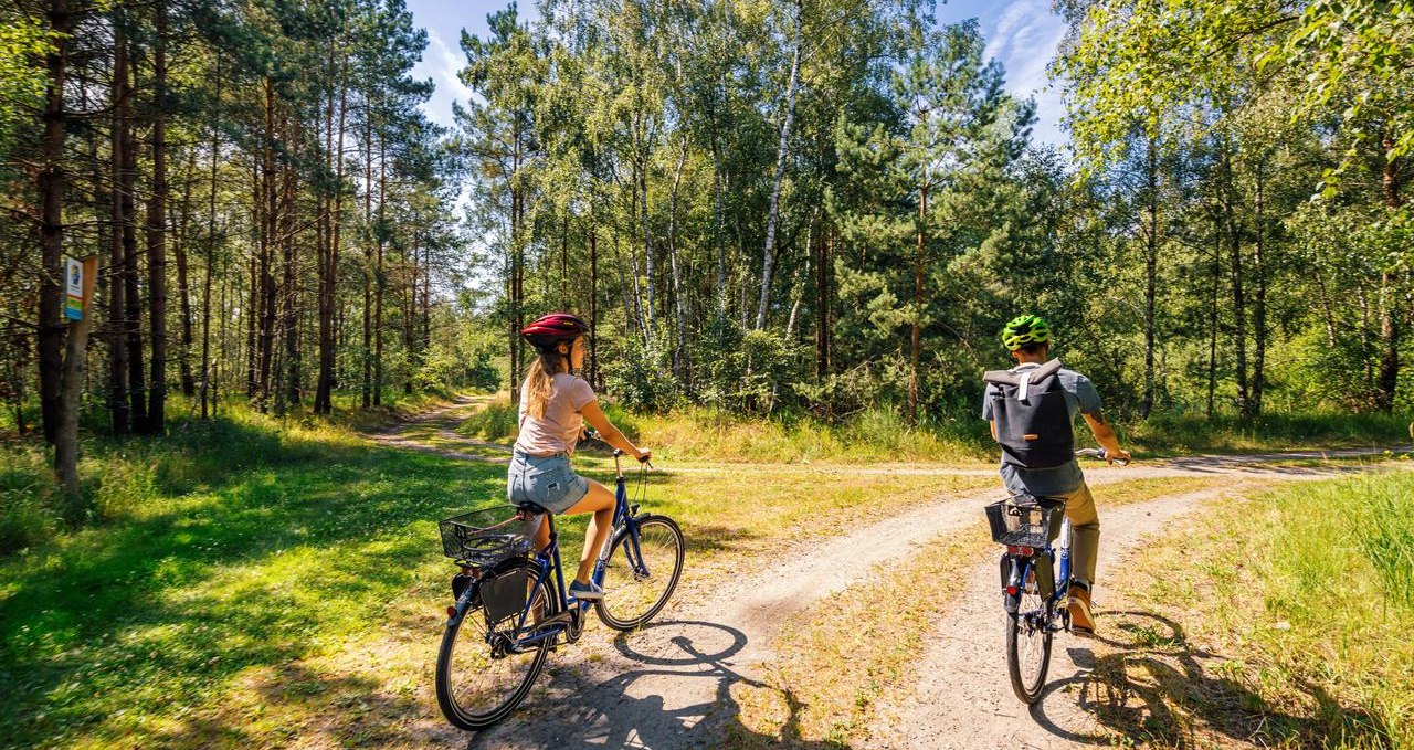 Bicycle tour through the Rostocker Heide, © TMV/Tiemann