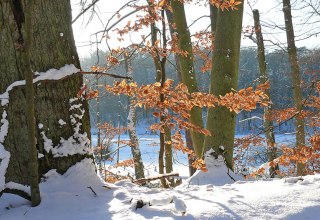 Hike into the new year, © Foto: Nationalparkamt Müritz