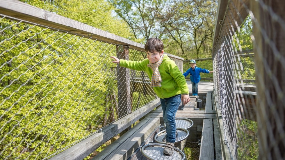 Various stations to balance and explore offer variety on the wooden path., © Erlebnis Akademie AG / Naturerbe Zentrum Rügen