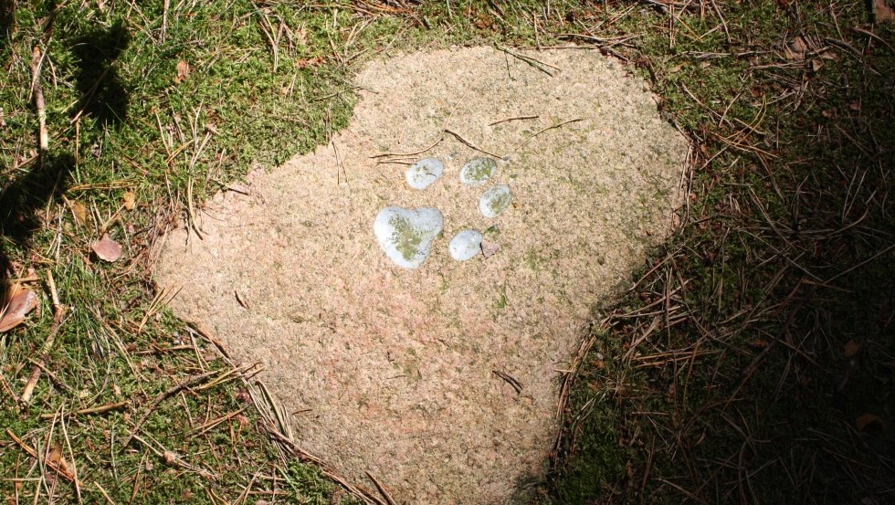 Imprint of a wolf paw in a stone, © Mecklenburgische Kleinseenplatte Touristik GmbH