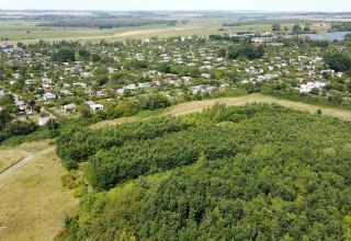 Neubrandenburg-Nettelkuhl climate forest, © Landesforst MV