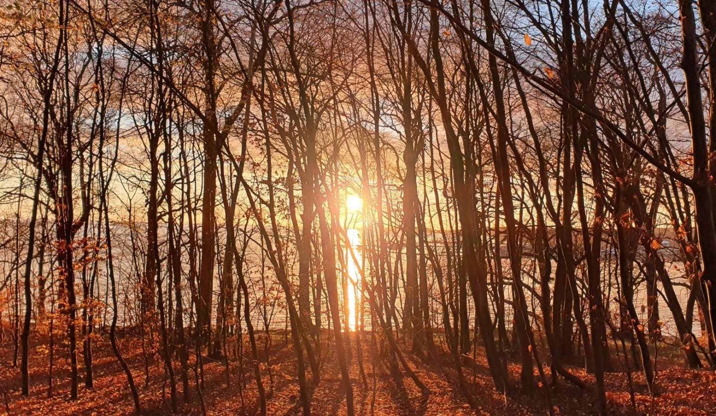 Forest bathing in winter (c) Kurverwaltung Goehren, © Kurverwaltung Goehren