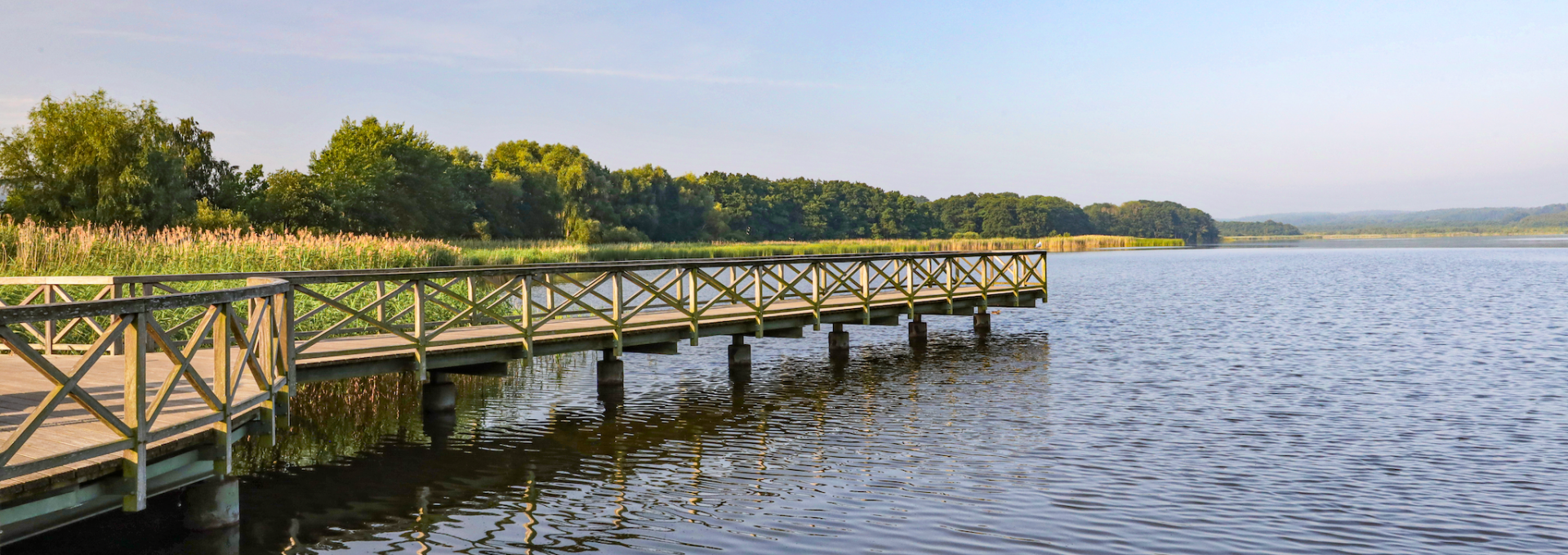 park-am-schmachter-lake_2, © TMV/Gohlke