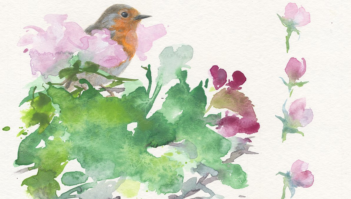 Robin. Watercolor on paper, © Friederike Rave