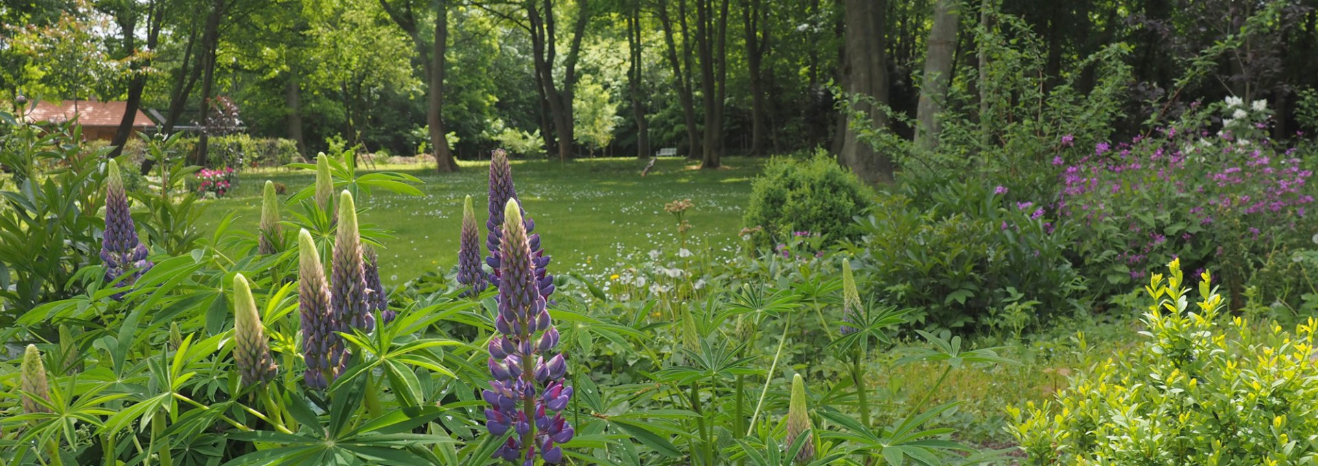 View of the park, © Annelie Maiwald