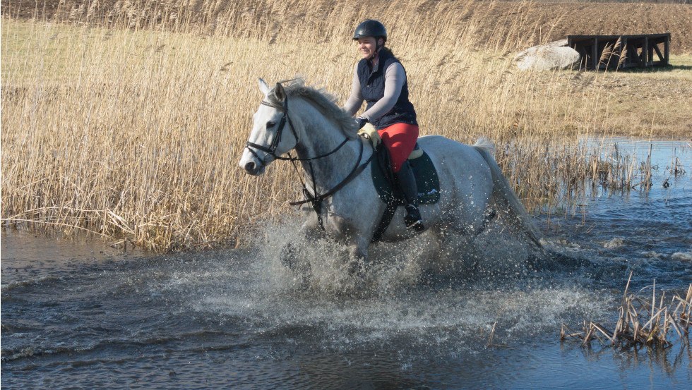 Rides in the nature and fun are preprogrammed at Rodenbergs, © Reitanlage Rodenberg