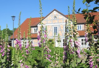 Manor Alt-Guthendorf Park, © Gutshof Alt Guthendorf/Topp