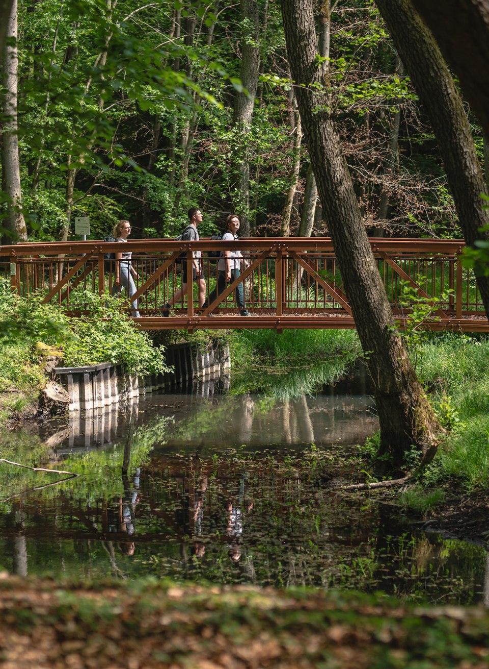 The Graupenmühler bridge crosses the idyllic Radebach stream., © TMV/Gross