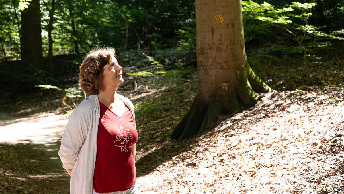 Forest bathing at Lake Plau, © BEECH Resort Plauer See