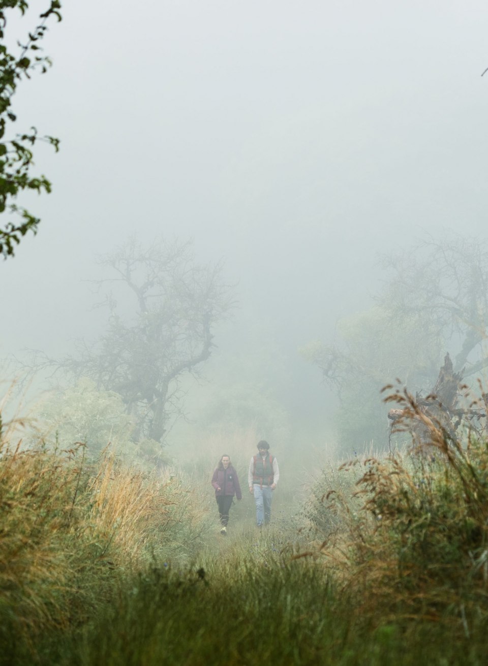 A couple walks through the wild natural landscape of Rötelberg in Mecklenburg Switzerland on a misty morning. The tall grasses and old trees lend the path a mystical atmosphere that exudes tranquillity and adventure at the same time.