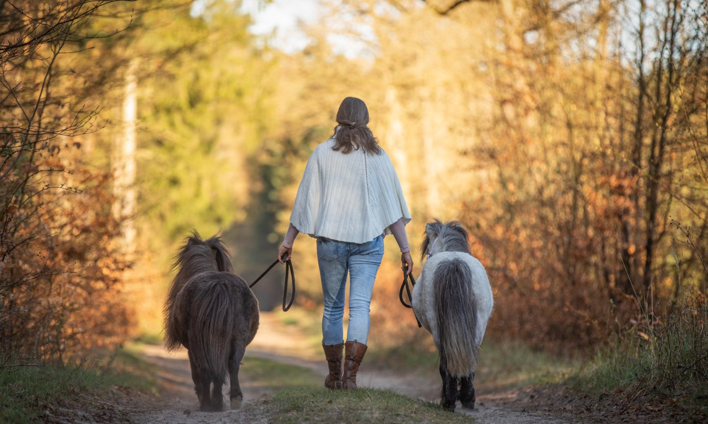 Walk with ponies, © Anniemal Fotografie