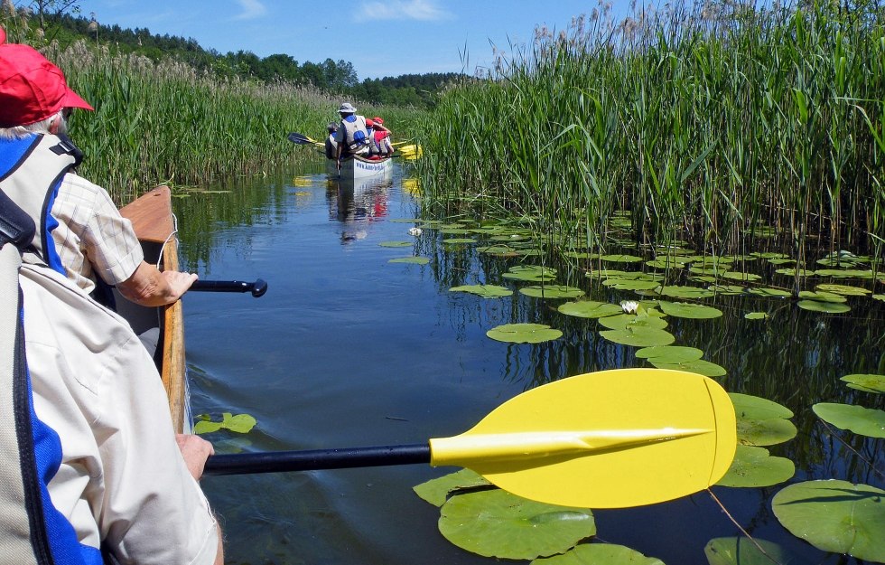 on a canoe safari through the Müritz National Park, © Kanu-Hecht