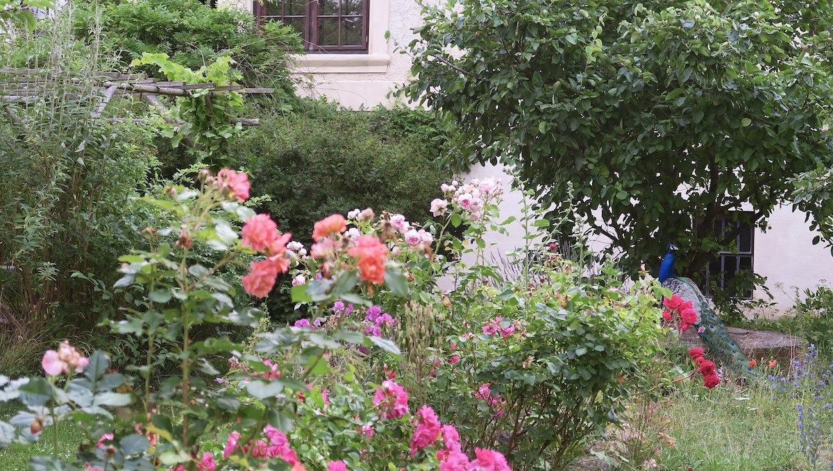 The Garden at Castle Schmarsow, © Schloss Schmarsow / Ruiken-Fabich