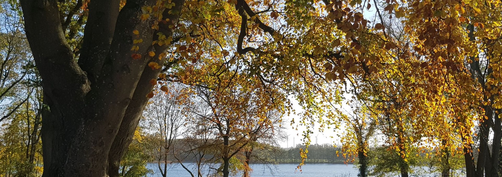 View of the lake, © J. Janssen