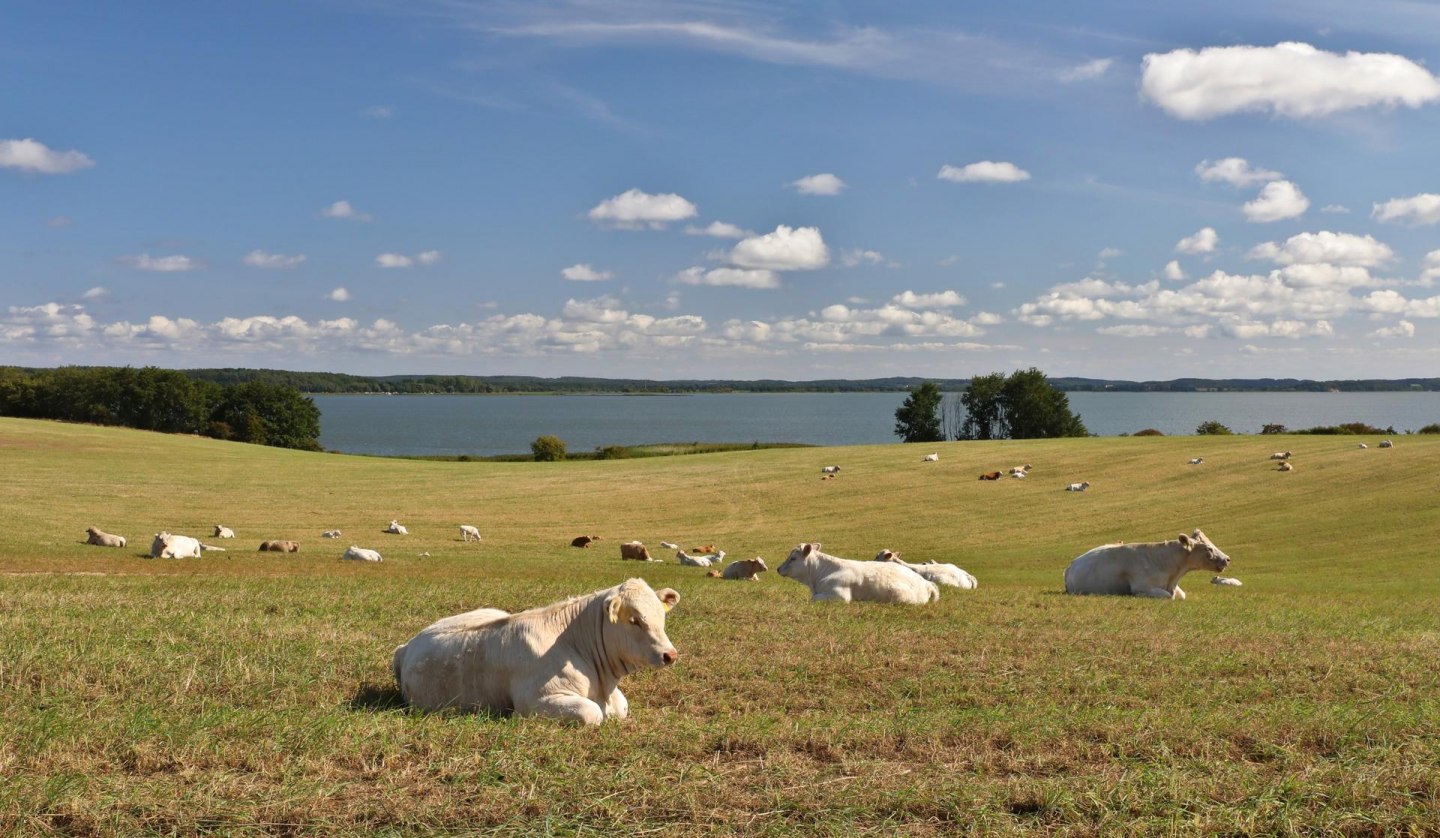 Loddiner Höft_1, © TMV/Gohlke