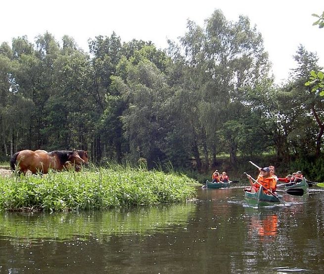 Natural idyll on the Old Elde, © Lewitzcamp Garwitz