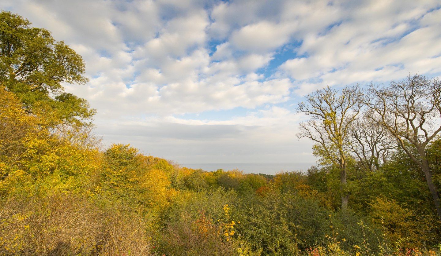 Leisurely fall walk (c) Goehren Martin Stoever 2016 _P5I5205, © Kurverwaltung Goehren / Martin Stoever