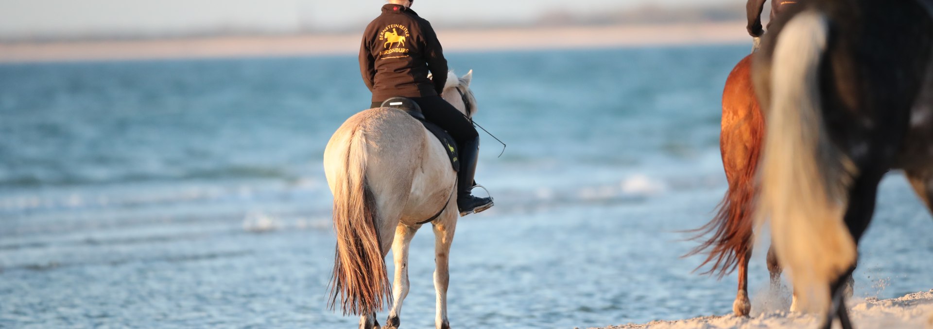 Horse riding on the beach, © TMV/ACP Pantel