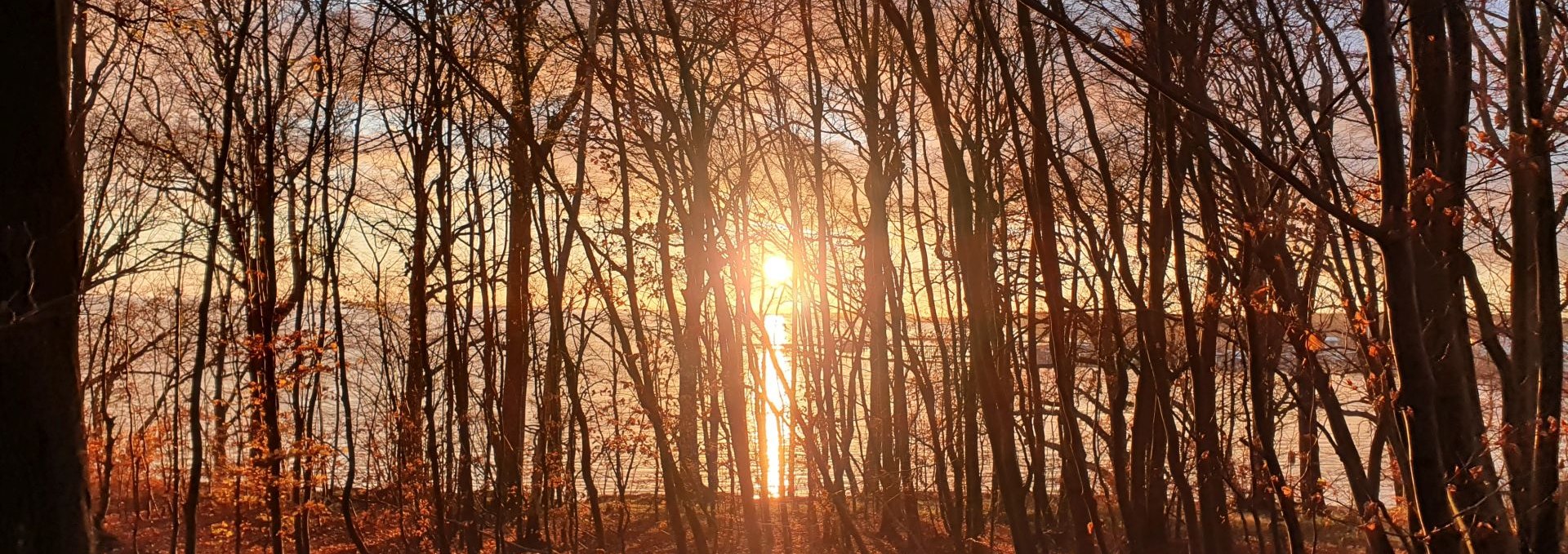 Forest bathing in winter (c) Kurverwaltung Goehren, © Kurverwaltung Goehren